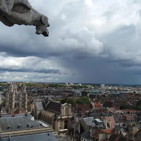 Owl Right - C La Chouette