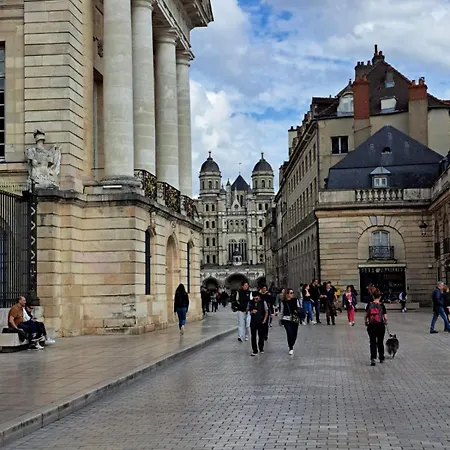 Owl Right - C La Chouette 第戎