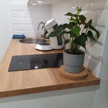 Owl Right - C La Chouette * 第戎