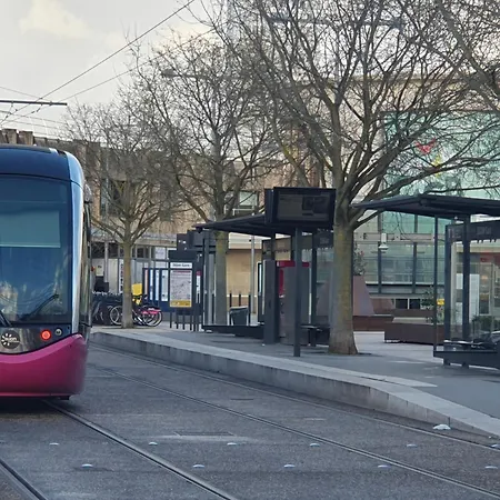 Owl Right - C La Chouette *