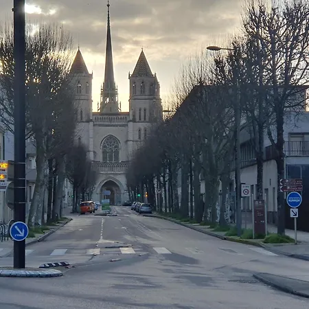 Owl Right - C La Chouette 第戎