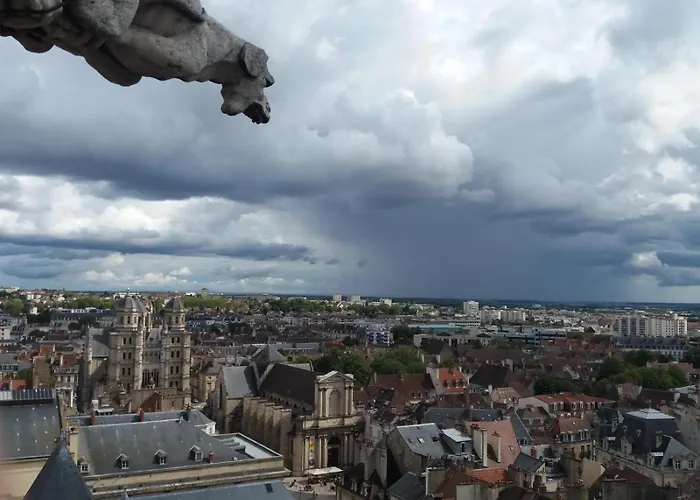 Owl Right - C La Chouette