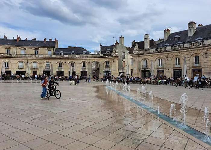 Owl Right - C La Chouette * Dijon