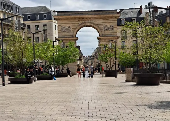 Daire Owl Right - C La Chouette Dijon