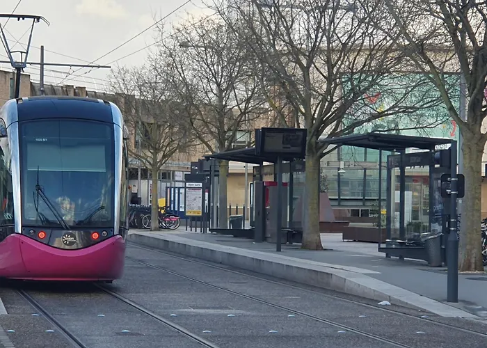 Owl Right - C La Chouette *