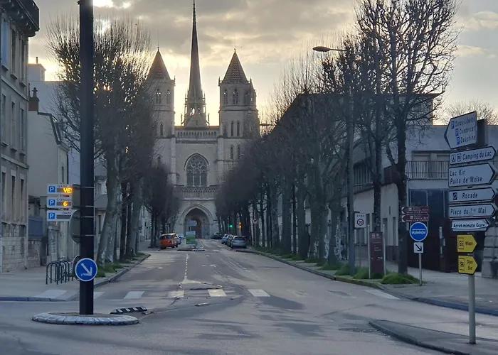 Owl Right - C La Chouette Dijon
