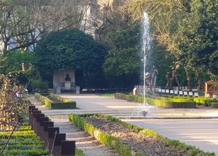 Owl Right - C La Chouette Daire Dijon