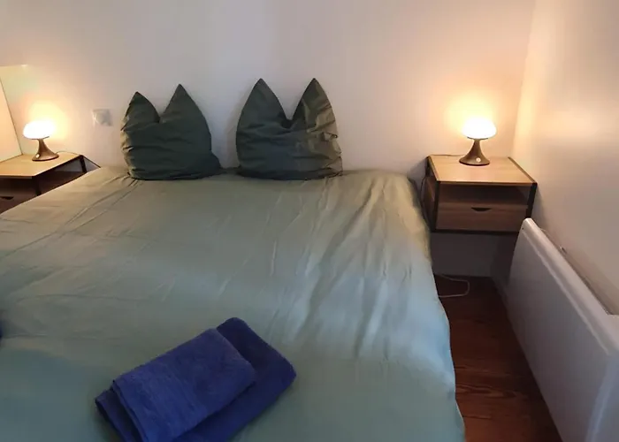 Owl Right - C La Chouette