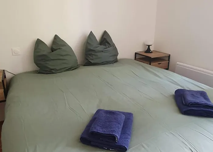 Owl Right - C La Chouette * Dijon